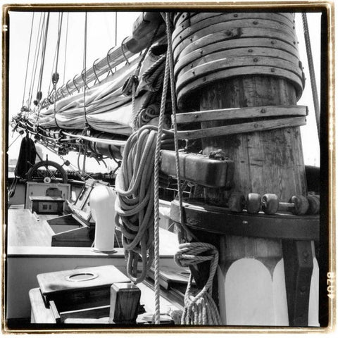 Ship Shape I Gold Ornate Wood Framed Art Print with Double Matting by DeNardo, Laura