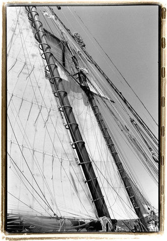 Set Sail I Black Ornate Wood Framed Art Print with Double Matting by DeNardo, Laura