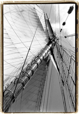 Set Sail II Black Ornate Wood Framed Art Print with Double Matting by DeNardo, Laura