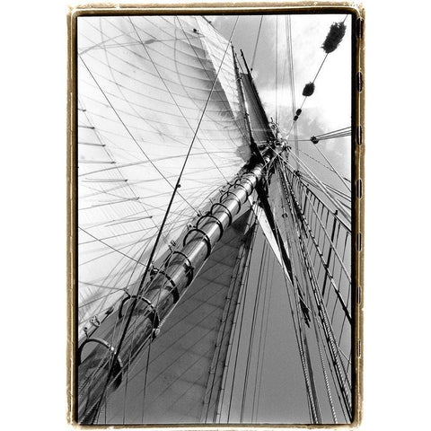 Set Sail II Black Modern Wood Framed Art Print by DeNardo, Laura