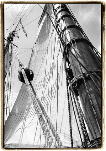 Set Sail III White Modern Wood Framed Art Print with Double Matting by DeNardo, Laura