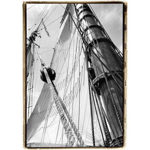 Set Sail III Black Modern Wood Framed Art Print by DeNardo, Laura