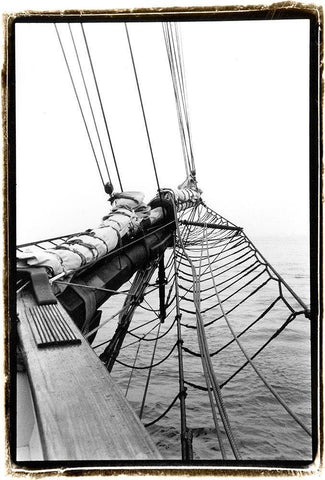 Set Sail IV Black Ornate Wood Framed Art Print with Double Matting by DeNardo, Laura
