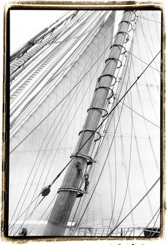 Set Sail VI Black Ornate Wood Framed Art Print with Double Matting by DeNardo, Laura