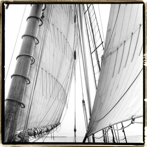 Under Sail II Black Ornate Wood Framed Art Print with Double Matting by DeNardo, Laura
