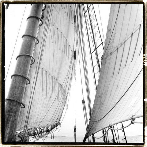 Under Sail II White Modern Wood Framed Art Print by DeNardo, Laura