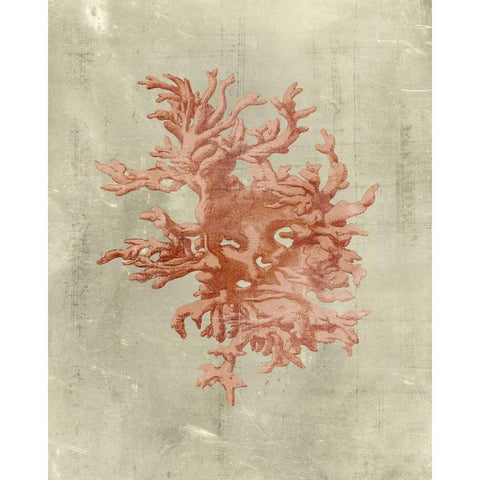 Coral in Terra Cotta Black Modern Wood Framed Art Print by Vision Studio