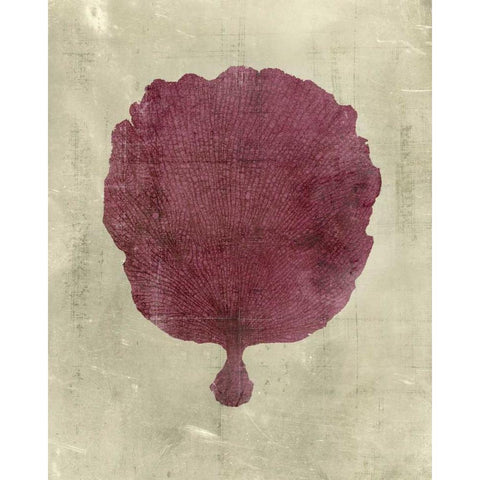 Coral in Plum Black Modern Wood Framed Art Print with Double Matting by Vision Studio