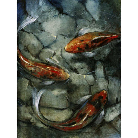 Tres Koi II Black Modern Wood Framed Art Print by OToole, Tim