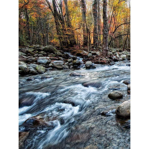 Porters Creek I Black Modern Wood Framed Art Print with Double Matting by Head, Danny