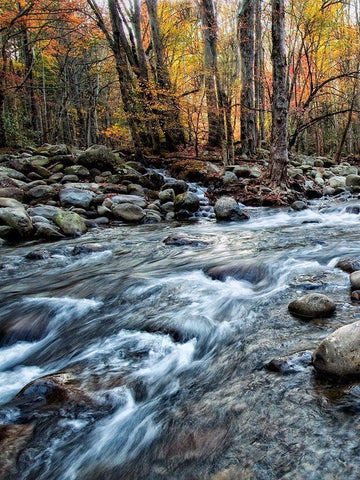 Porters Creek I White Modern Wood Framed Art Print with Double Matting by Head, Danny