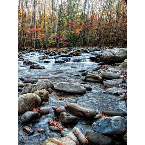Porters Creek II White Modern Wood Framed Art Print by Head, Danny