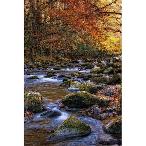 Autumn on Little River Gold Ornate Wood Framed Art Print with Double Matting by Head, Danny