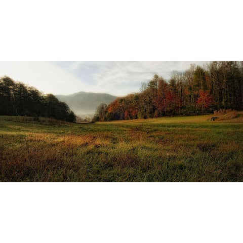 Warm Morning Light Black Modern Wood Framed Art Print by Head, Danny