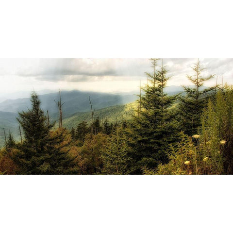 Early Autumn Vista Gold Ornate Wood Framed Art Print with Double Matting by Head, Danny