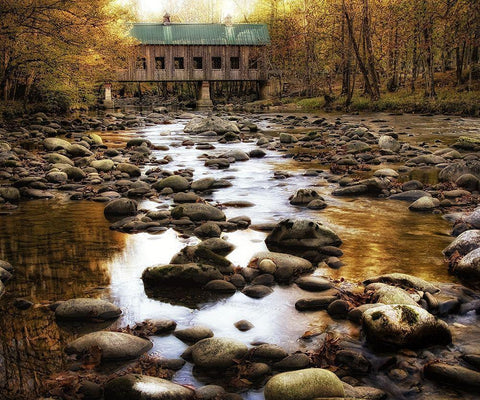 Bridge Over Rocky Waters Black Ornate Wood Framed Art Print with Double Matting by Head, Danny
