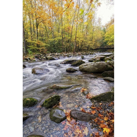 Roaring Waters III Black Modern Wood Framed Art Print by Head, Danny