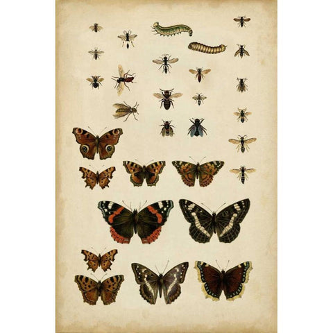 Garden Friends Black Modern Wood Framed Art Print with Double Matting by Vision Studio