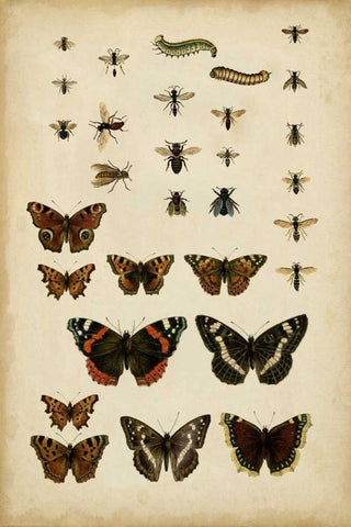 Garden Friends Black Ornate Wood Framed Art Print with Double Matting by Vision Studio