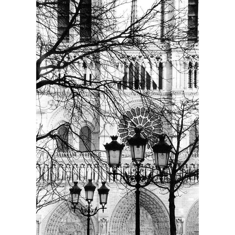 Notre Dame Cathedral II Black Modern Wood Framed Art Print with Double Matting by DeNardo, Laura