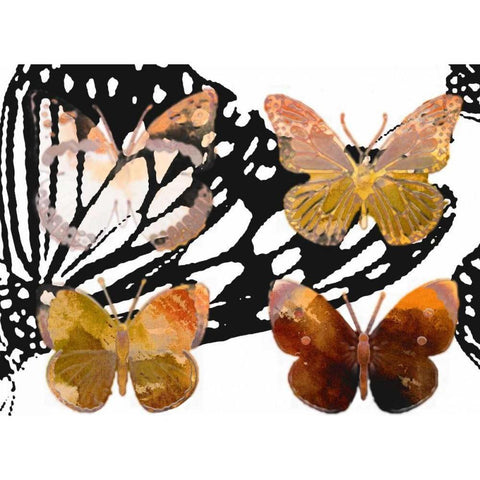 Layered Butterflies III Black Modern Wood Framed Art Print with Double Matting by Jasper, Sisa