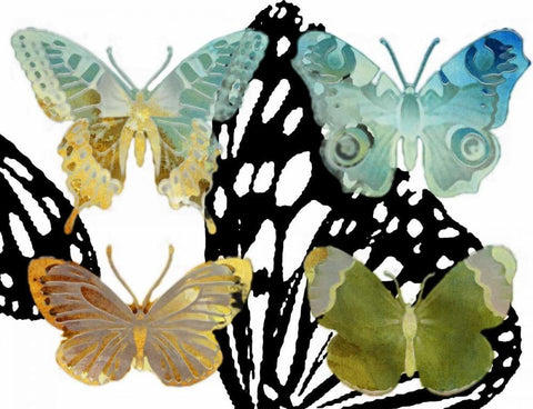 Layered Butterflies IV White Modern Wood Framed Art Print with Double Matting by Jasper, Sisa