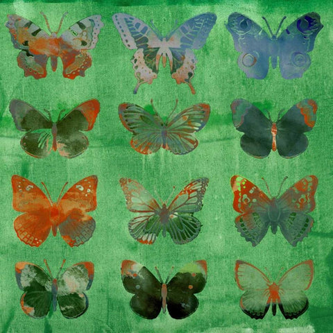 Butterflies on Green Black Modern Wood Framed Art Print with Double Matting by Jasper, Sisa