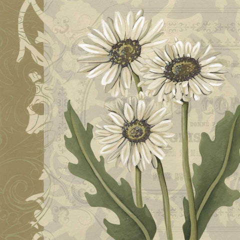 Paris Daisy I Black Ornate Wood Framed Art Print with Double Matting by Zarris, Chariklia