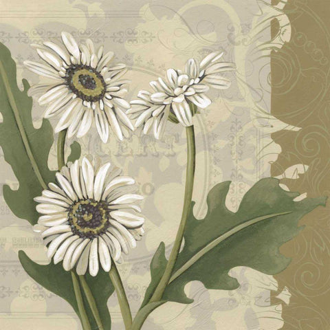 Paris Daisy II Black Ornate Wood Framed Art Print with Double Matting by Zarris, Chariklia