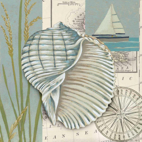 Seaside Shell I White Modern Wood Framed Art Print with Double Matting by Zarris, Chariklia