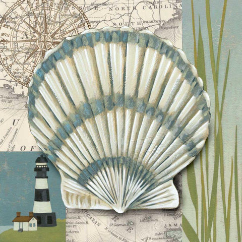 Seaside Shell II White Modern Wood Framed Art Print by Zarris, Chariklia