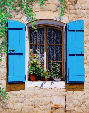 Blue Shutters Black Ornate Wood Framed Art Print with Double Matting by Swanson, Michael