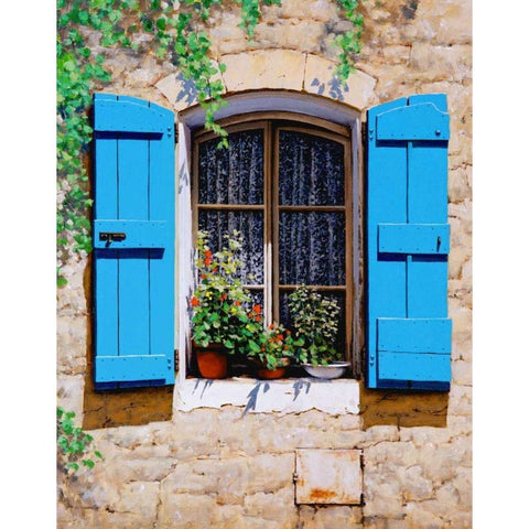 Blue Shutters Black Modern Wood Framed Art Print with Double Matting by Swanson, Michael