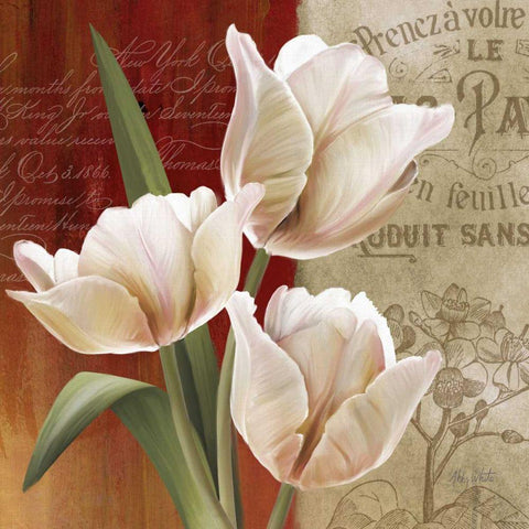 French Tulip Collage II Gold Ornate Wood Framed Art Print with Double Matting by White, Abby