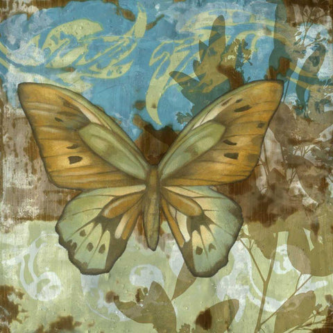 Rustic Butterfly I Black Modern Wood Framed Art Print with Double Matting by Goldberger, Jennifer