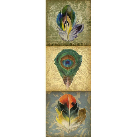 2-Up Feather Triptych II Black Modern Wood Framed Art Print with Double Matting by Goldberger, Jennifer