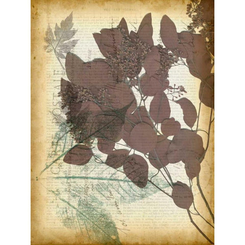 Leaf Letters I Black Modern Wood Framed Art Print with Double Matting by Goldberger, Jennifer