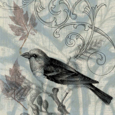 Autumn Songbird II Black Modern Wood Framed Art Print with Double Matting by Goldberger, Jennifer