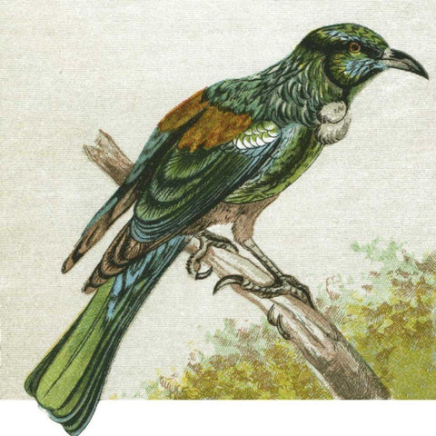 Mini Vintage Birds IX Gold Ornate Wood Framed Art Print with Double Matting by Unknown