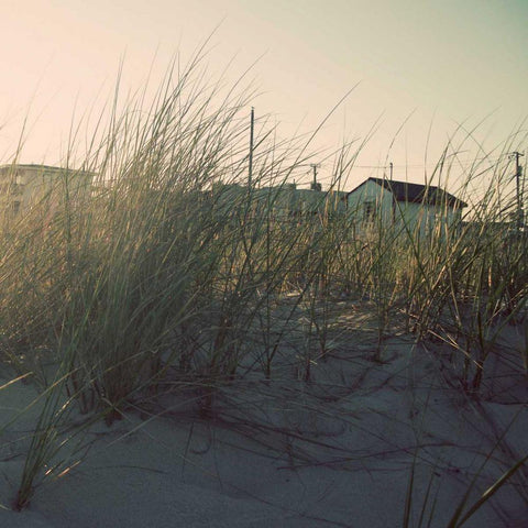 Summer of 76 I Black Modern Wood Framed Art Print with Double Matting by Ludwig, Alicia