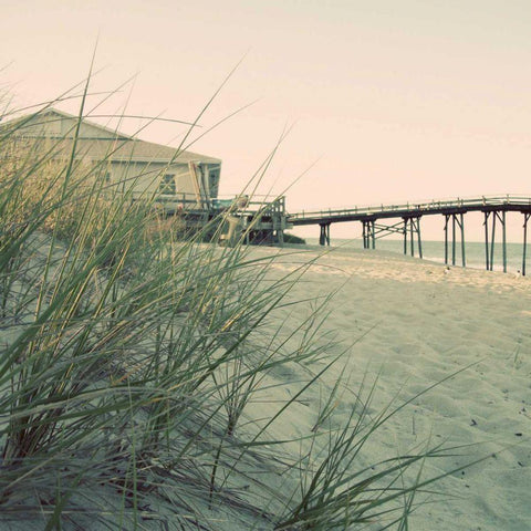 Summer of 76 III Black Ornate Wood Framed Art Print with Double Matting by Ludwig, Alicia