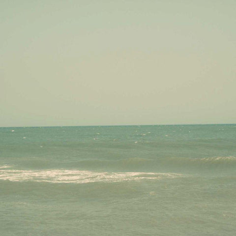 Carolina Beach I Gold Ornate Wood Framed Art Print with Double Matting by Ludwig, Alicia