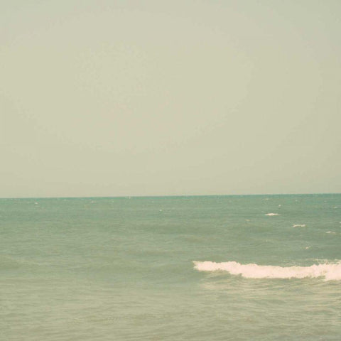 Carolina Beach II Black Ornate Wood Framed Art Print with Double Matting by Ludwig, Alicia