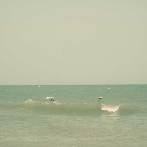 Carolina Beach III Gold Ornate Wood Framed Art Print with Double Matting by Ludwig, Alicia