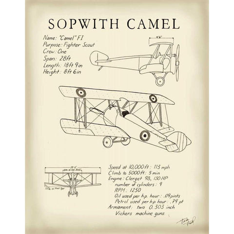 Sopwith Camel Gold Ornate Wood Framed Art Print with Double Matting by Friel, Tara