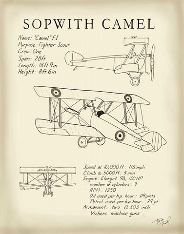 Sopwith Camel White Modern Wood Framed Art Print with Double Matting by Friel, Tara