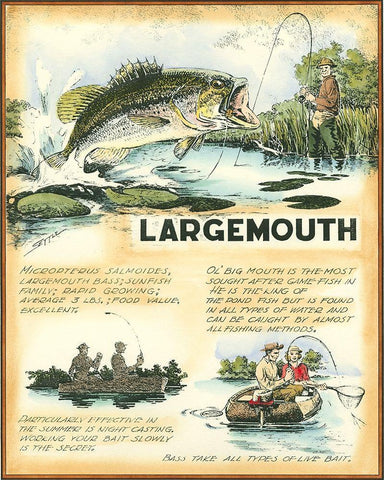 Large Mouth White Modern Wood Framed Art Print with Double Matting by Settle, Robert