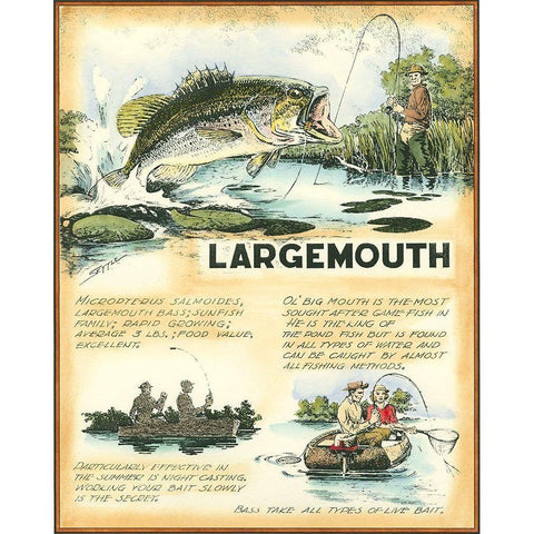 Large Mouth Gold Ornate Wood Framed Art Print with Double Matting by Settle, Robert