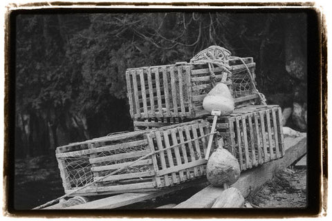 Trapped White Modern Wood Framed Art Print with Double Matting by DeNardo, Laura
