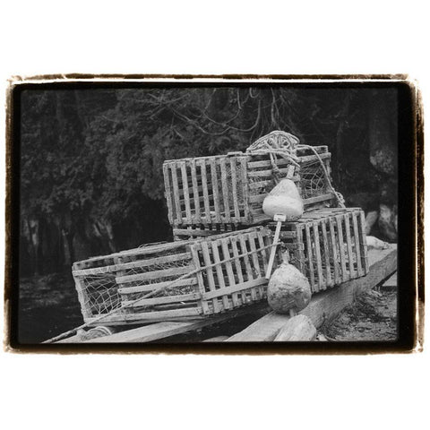 Trapped White Modern Wood Framed Art Print by DeNardo, Laura